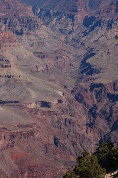 Bright Angel Gorge